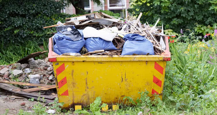 Pest Infestation Prevention Tips For Your Dumpster In Sun Valley