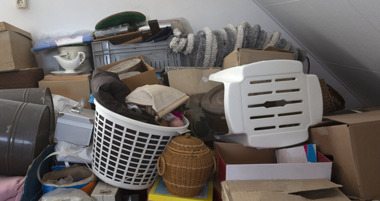 How Can Dumpster Rentals Help You Clean Out Hoarded Waste