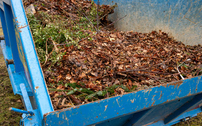 Landscaping Clean-Up with a Dumpster Rental