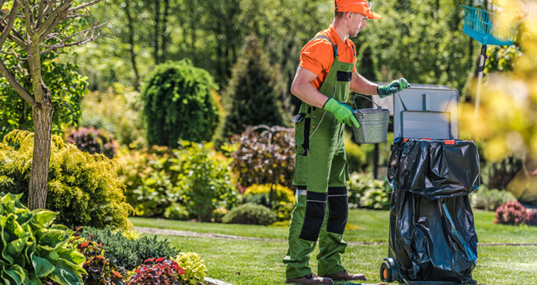 Landscaping Clean-Up