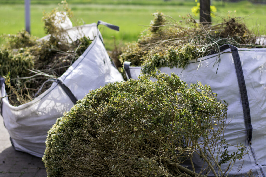 LA Wildfire Yard Cleanup: Brush Clearance Rules & Dumpsters