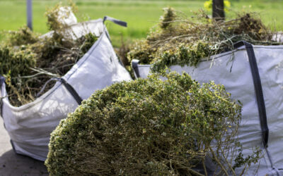 LA Wildfire Yard Cleanup: Brush Clearance Rules & Dumpsters