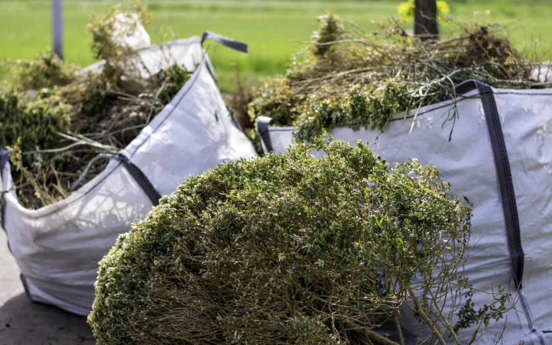 Fall Yard Cleanup in the SFV: What Size Roll-Off for Green Waste
