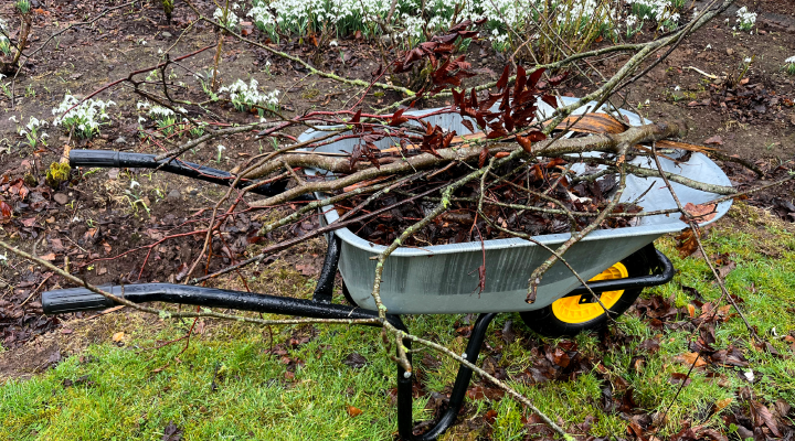 Wheelbarrow full of twigs and branches.